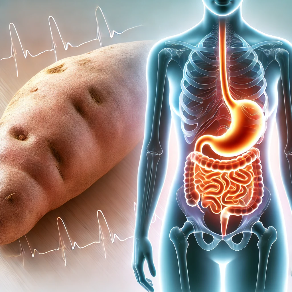 생고구마 먹고 설사하는 이유 - 식이섬유 과다섭취, 과민성 대장증후군