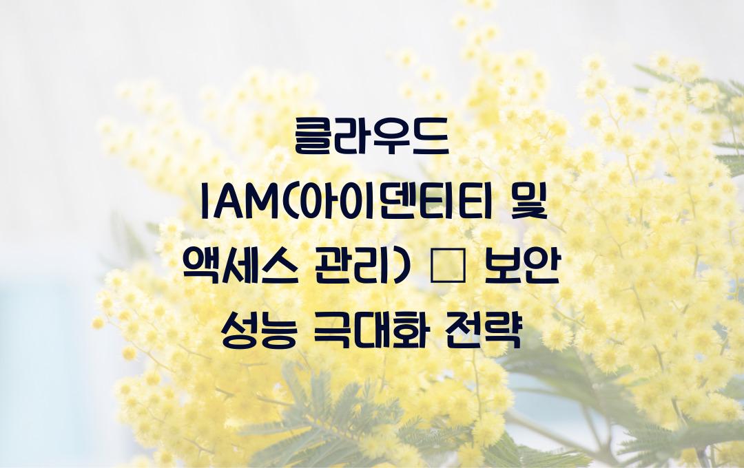 클라우드 IAM(아이덴티티 및 액세스 관리) – 보안 강화하는 법