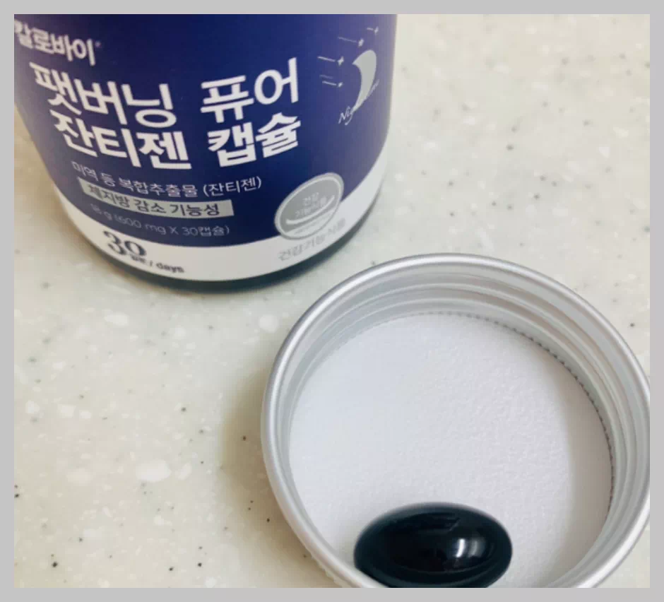 칼로바이 팻버닝 퓨어 잔티젠