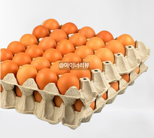 전지적감견시점 이영자 동충하초 반숙란 믹서기 우유곽 컵 물컵 엄지칼 제철음식 달력 유미하우스 아이템 정보