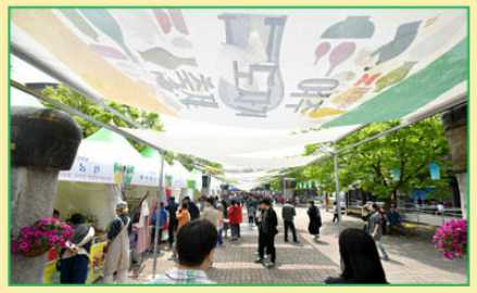 여주도자기축제 기본정보