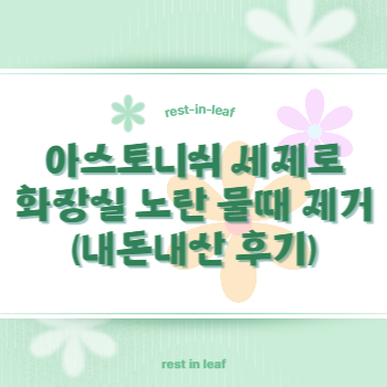 아스토니쉬로 노란 물때 제거