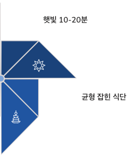 비타민D 균형잡힌 식단