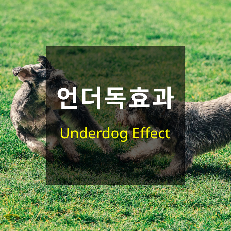 언더독효과