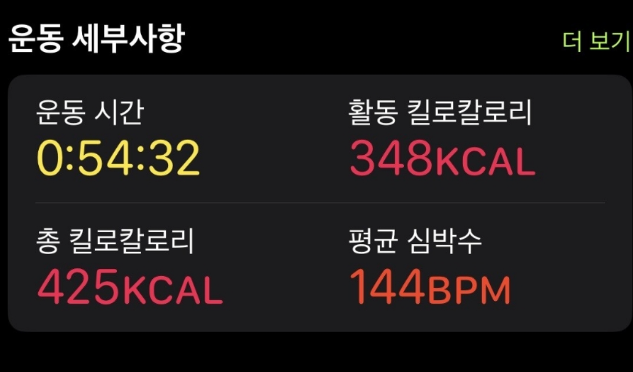 칼로 리바이크 내돈내산 효율 
