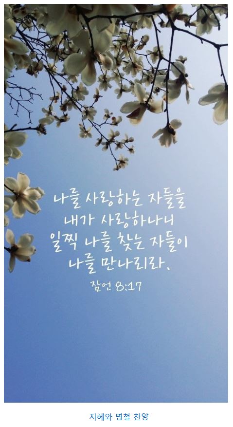 잠언 8장