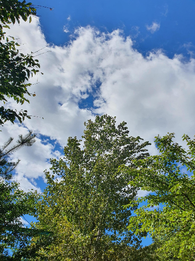 보리울오토차박캠핑장