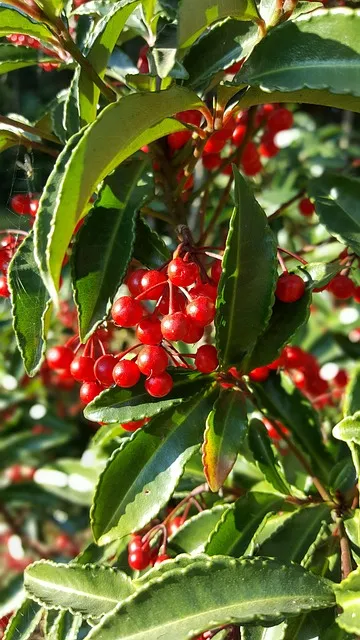 전씨 본관 종류 역사_4