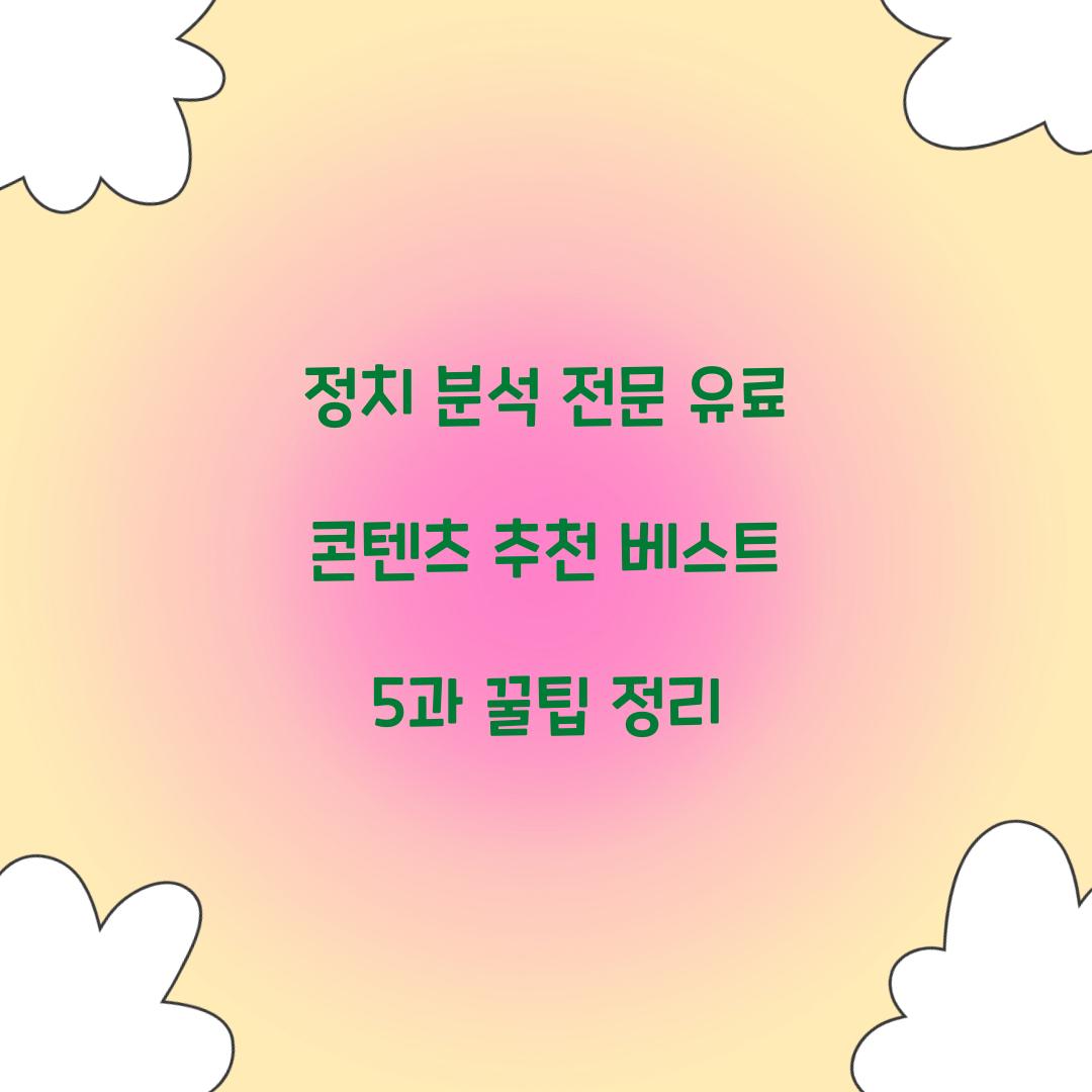 정치 분석 전문 유료 콘텐츠 추천