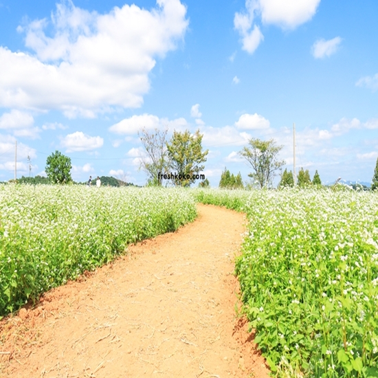 고창 가볼만한곳 베스트10