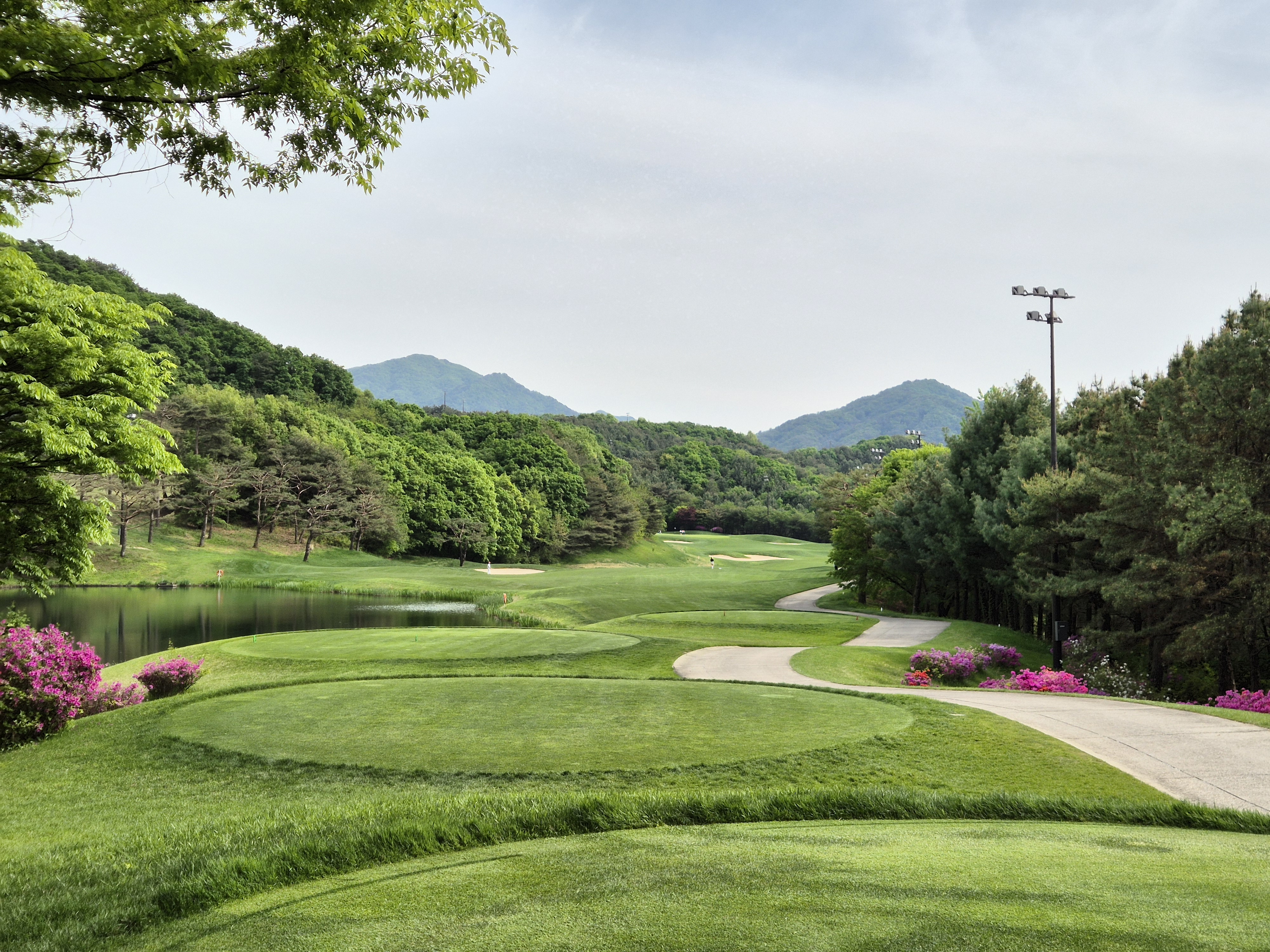 베어크리크cc 크리크코스