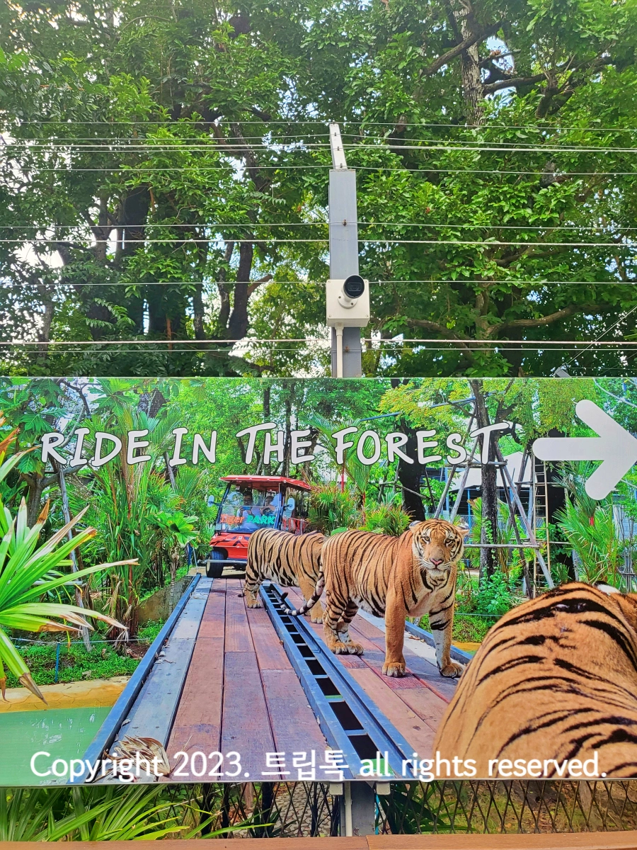 cctv 아래 관람차를 탈수 있는 방향을 안내하는 사진이다.