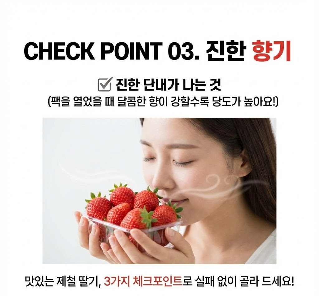 딸기고르는법