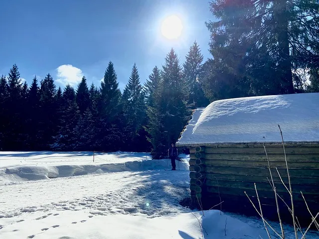 워라밸 뜻과산화수소수 효능 완벽정리_5