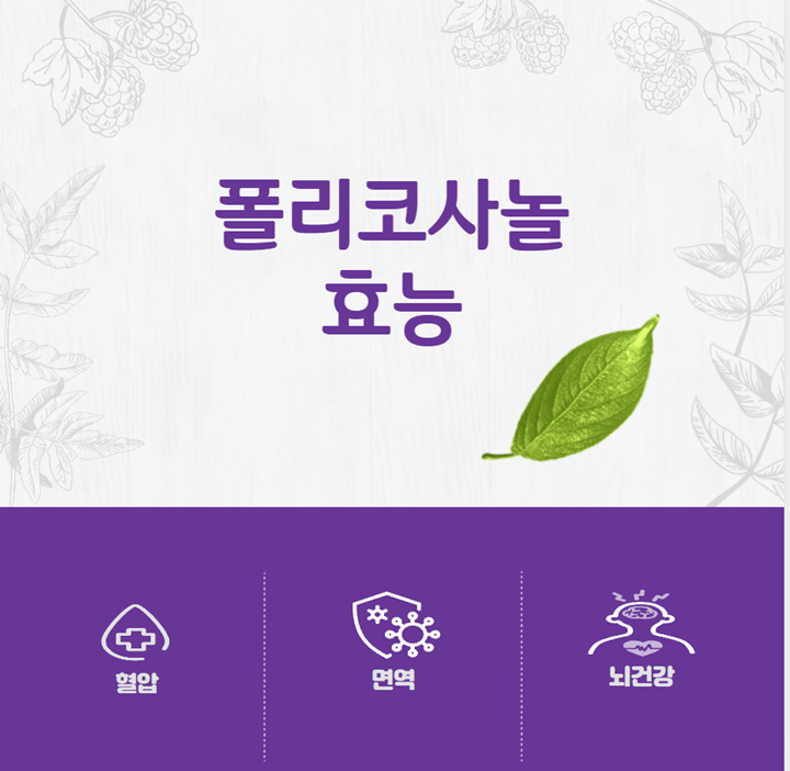 폴리코사놀 효능