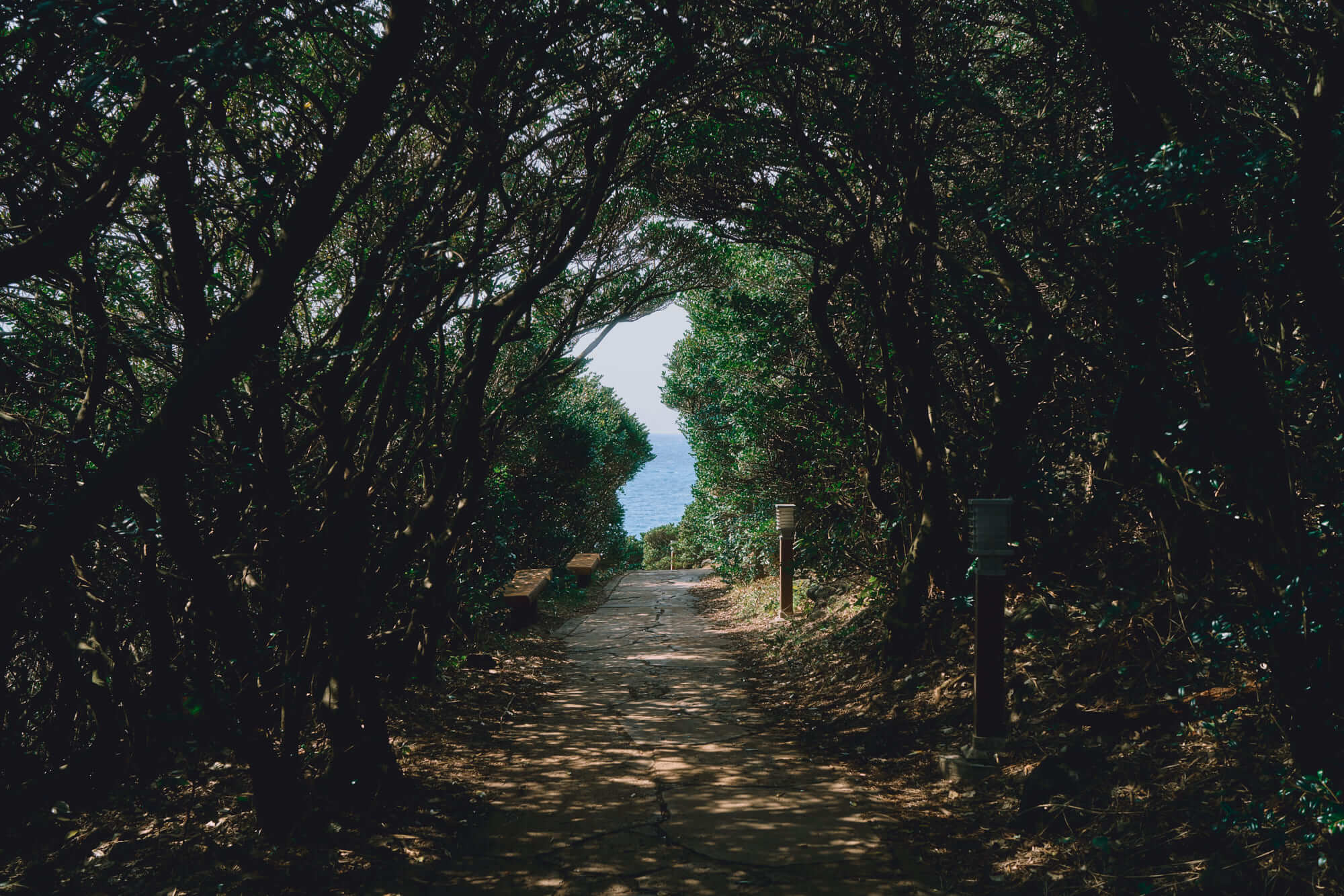 제주 올레길 5코스 추천: 남원포구에서 쇠소깍까지 힐링 여행