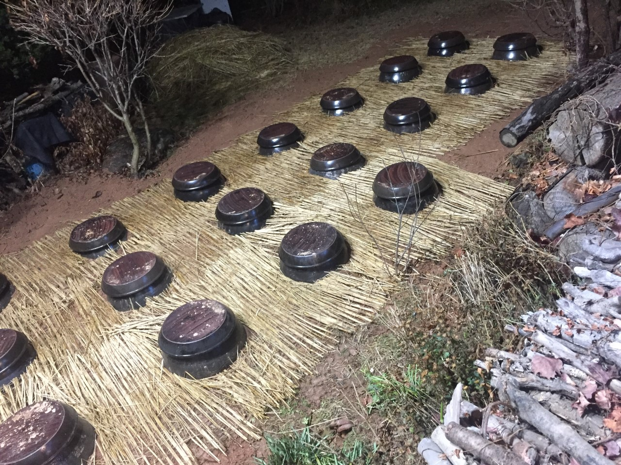 생생정보 묵은지 등갈비찜 웅골 위치 가격