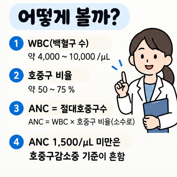 백혈구 수 호중구 비율 절대호중구수 ANC와 호중구감소증 기준을 비교한 이미지
