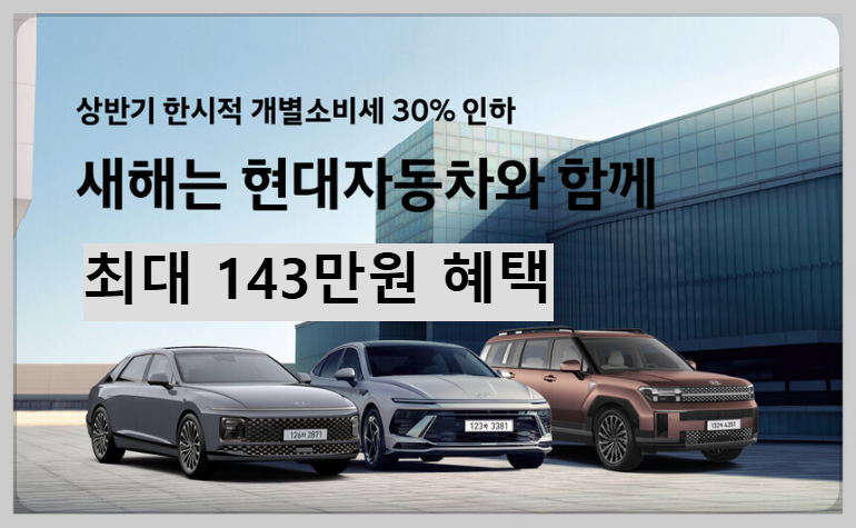 2025개별소비세 인하