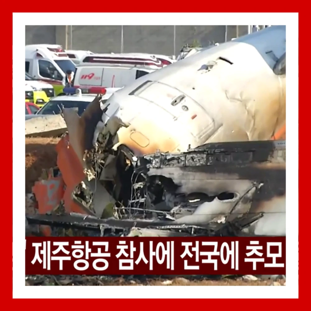 해맞이-행사-취소-전국-울산-부산