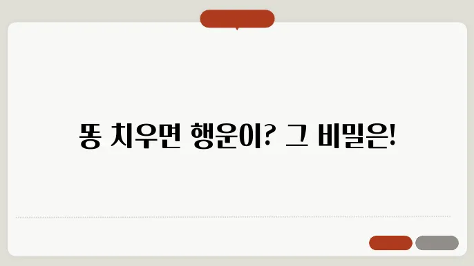 똥 치우는 꿈 해몽