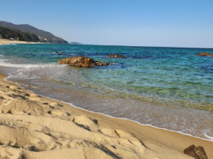 2024 강원도 해수욕장 개장일 추천 BEST 7