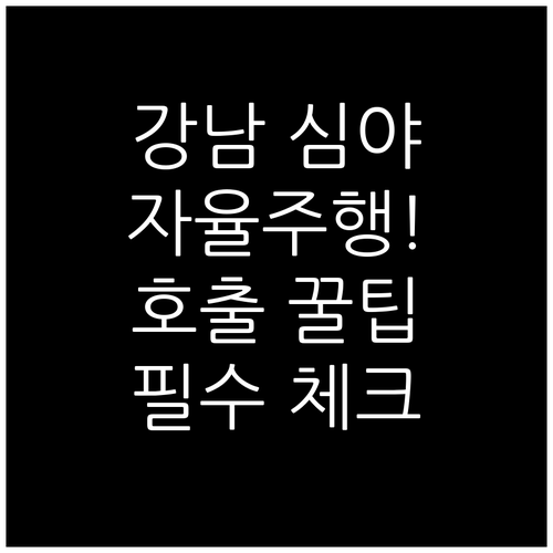 서울 강남 자율주행 택시 심야 운행 ..