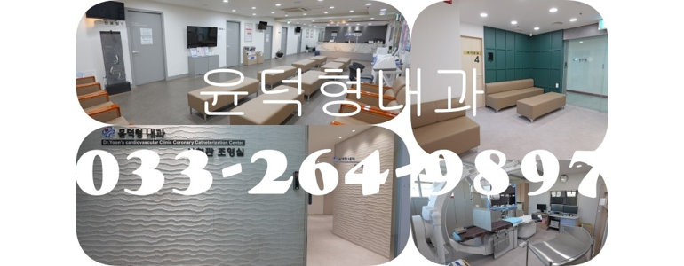 춘천시 고지혈증