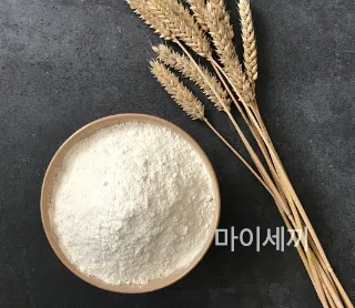 글루텐 밀가루