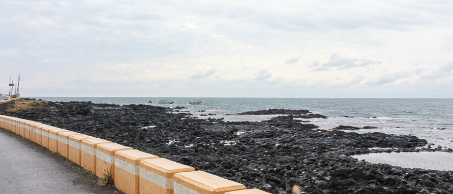 제주 여행 2박3일 추천코스(자유여행)