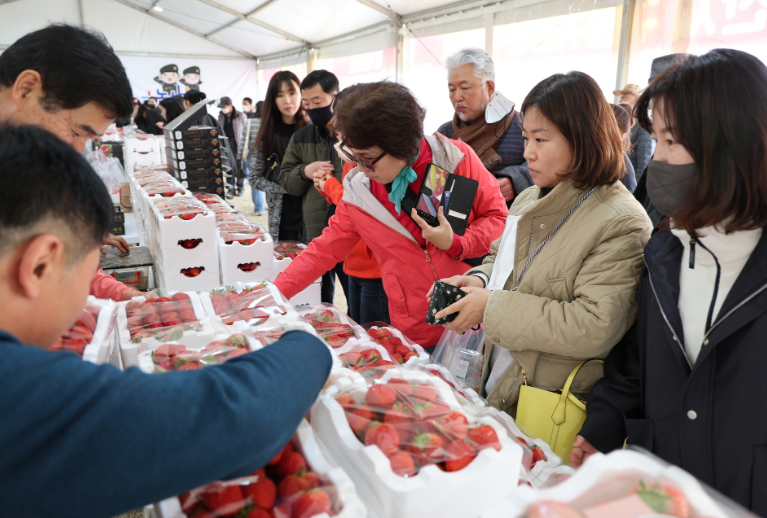 딸기축제