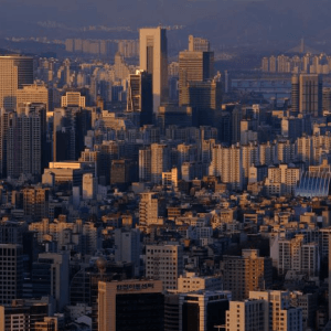 신용사면