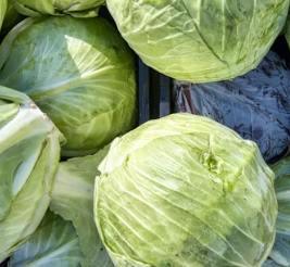 피로회복에 좋은 음식