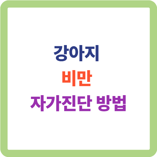 강아지 비만 자가진단 방법
