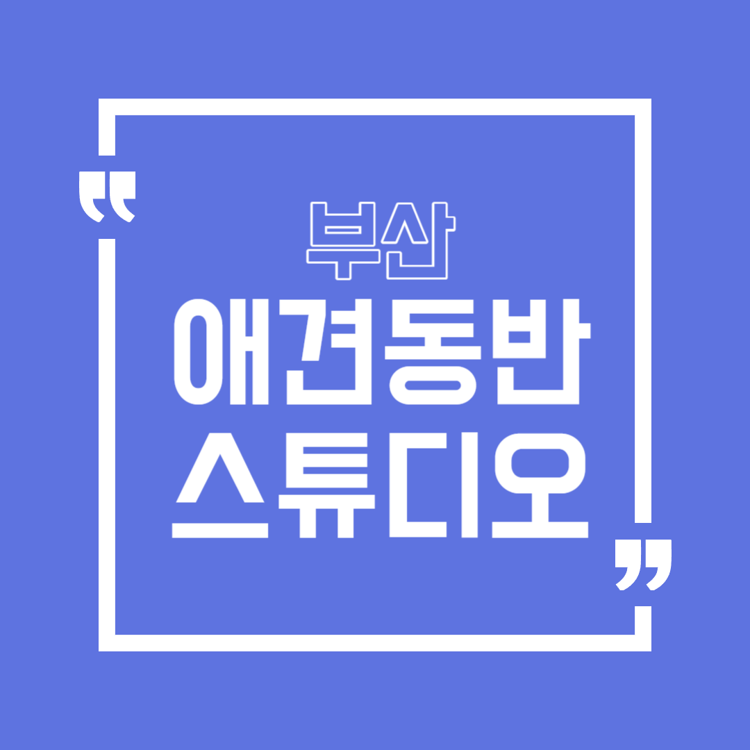 부산 애견 동반 스튜디오