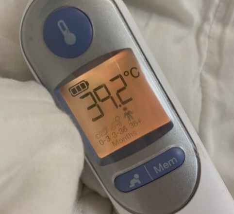 일본-뇌염-예방접종-시기