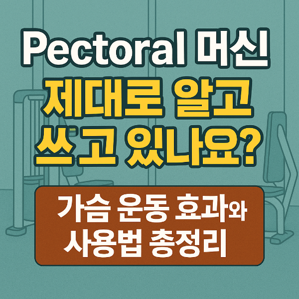 가슴 운동