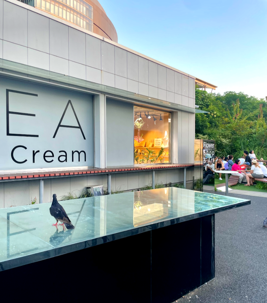 일본 도쿄로 다시 가고 싶은 3박 4일 여행기 - 팀랩플래닛 Vegan Ramen UZU Tokyo 저녁식사 가게 전경