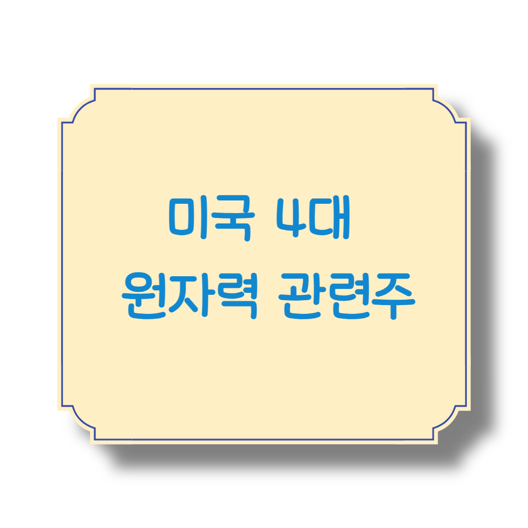 미국 4대&nbsp;원자력 관련주