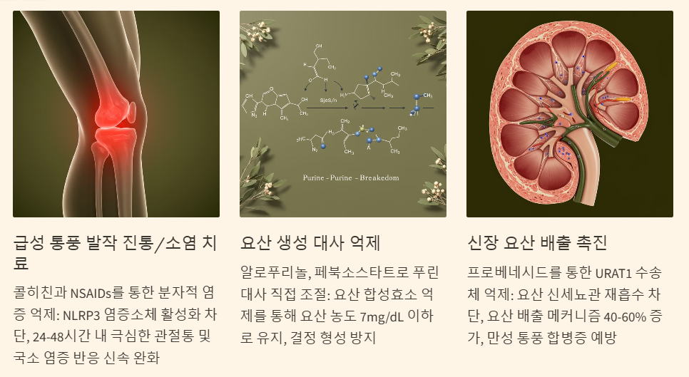 통풍의 치료방법