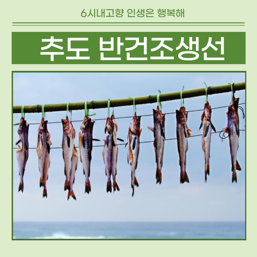 6시내고향 통영 반건조생선 썸네일