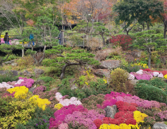 조용한수목원