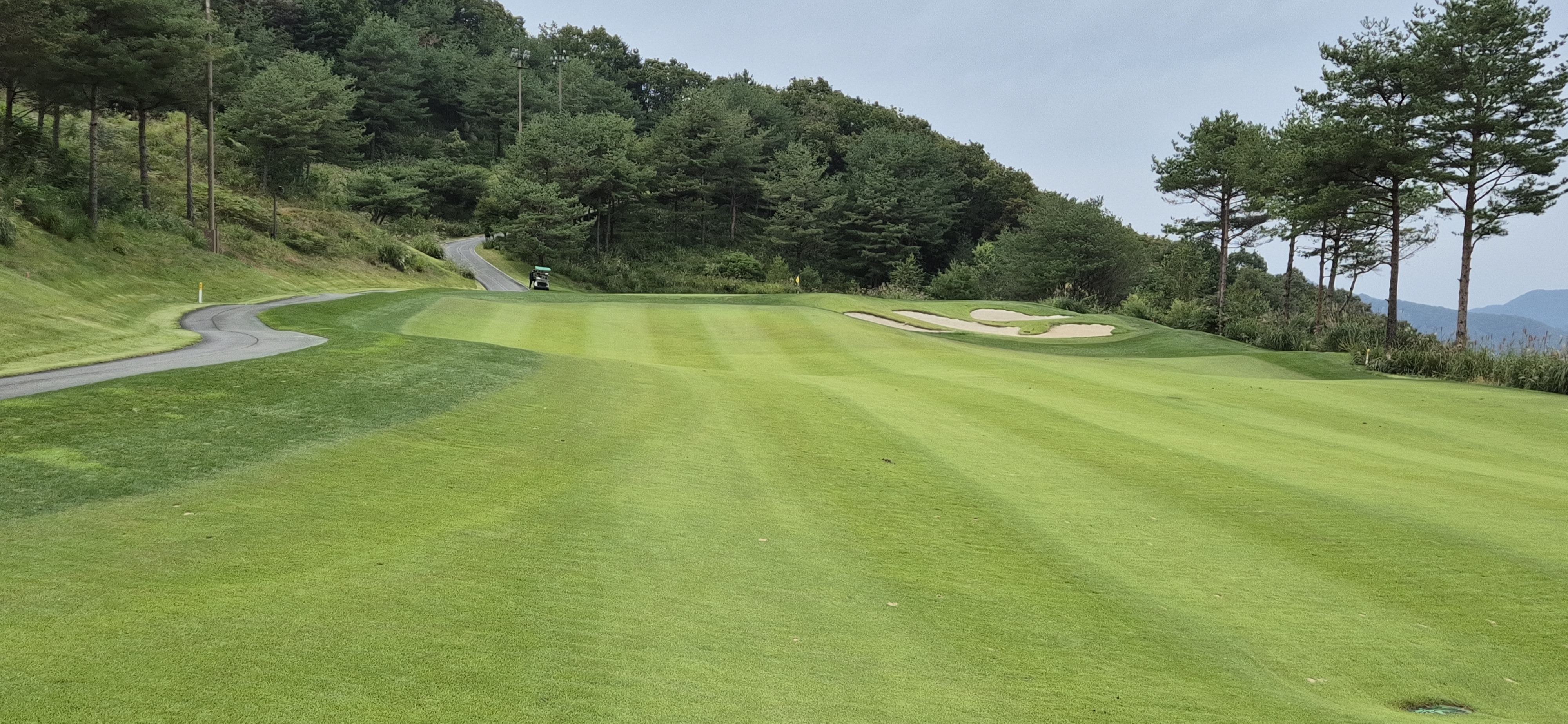 소노펠리체cc이스트