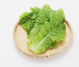 불면증 해결하려면 치료에 좋은 음식 방법 정리