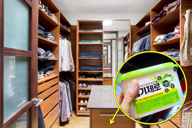 창문 결로현상 해결방법,겨울 창문 단열의 방법,제습제