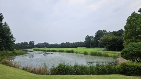 골프장 경험담 여주 세라지오CC 자연 속에서 즐기는 프리미엄 퍼블릭 골프장의 품격