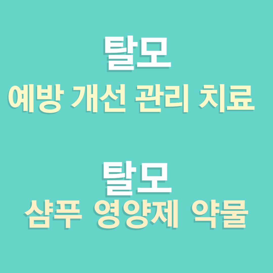 탈모 예방 개선 관리 치료 방법, 탈모 샴푸 영양제 약물 효과