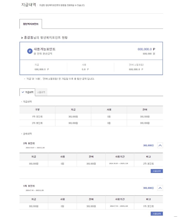 청년복지포인트