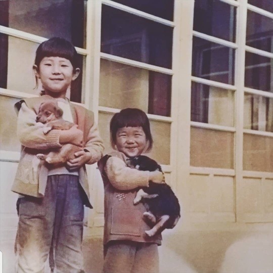 양희은_나이_집안_과거_프로필_남편_조중문_자녀