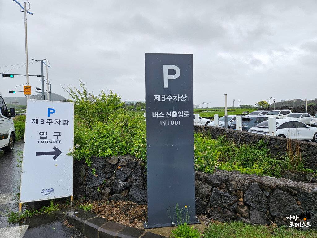 오설록 티 뮤지엄 주차장